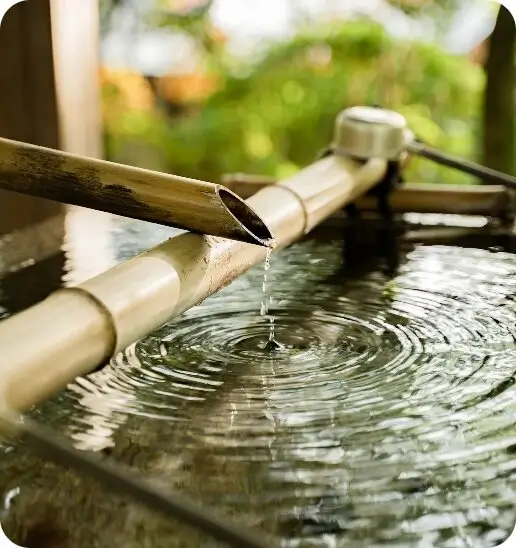 mywolly Organiza tus publicaciones por ubicación