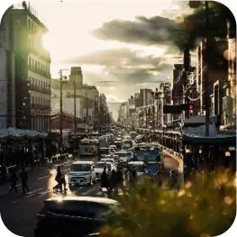 mywolly Organiza tus publicaciones por ubicación