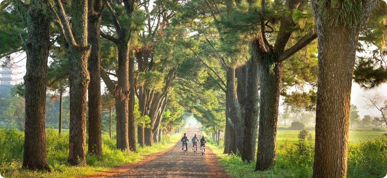 mywolly Organiza tus publicaciones por ubicación